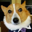 author photo