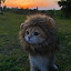 author photo
