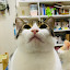 author photo