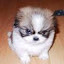 author photo