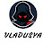 VLADUSYA TV