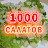 1000 салатов