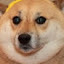 author photo