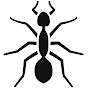 My Ants - Канал о Муравьях