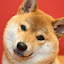 author photo