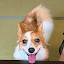 author photo
