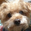 author photo