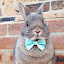 author photo